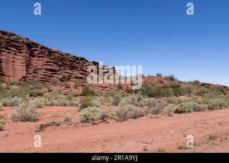 Magnifique paysage rougeâtre du parc provincial Ischigualasto dans la province de San Juan, Argentine - Voyage en Amérique du Sud Banque D'Images