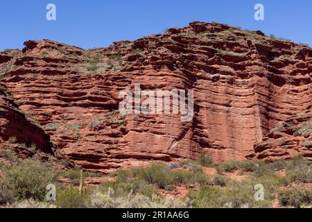 Magnifique paysage rougeâtre du parc provincial Ischigualasto dans la province de San Juan, Argentine - Voyage en Amérique du Sud Banque D'Images