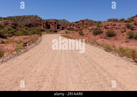 Conduire à travers le magnifique paysage rougeâtre du parc provincial Ischigualasto dans la province de San Juan, Argentine - voyager en Amérique du Sud Banque D'Images