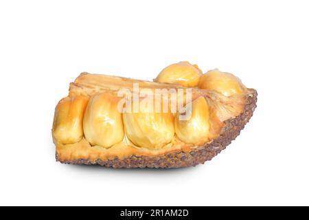 Jackfruit ou campedak isolé sur fond blanc Banque D'Images