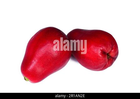 Pommes Rose isolé sur fond blanc Banque D'Images