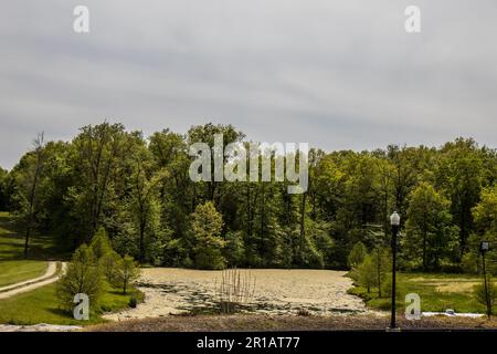 lac couvert d'algues dans la région viticole du midwest Banque D'Images