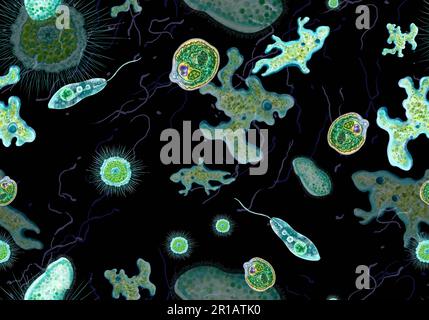 Bactéries, protozoaires unicellulaires, algues. Motif transparent pour l'impression dans les manuels scolaires, les brochures médicales, les emballages, les tissus et autres polygraphies. Illustration en couleur de la microbiologie. Illustration de haute qualité Banque D'Images