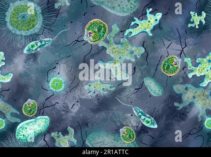 Bactéries, protozoaires unicellulaires, algues. Motif transparent pour l'impression dans les manuels scolaires, les brochures médicales, les emballages, les tissus et autres polygraphies. Illustration en couleur de la microbiologie. Illustration de haute qualité Banque D'Images