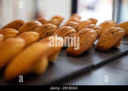 Madeleines fraîchement préparées dans une boulangerie à vendre Banque D'Images