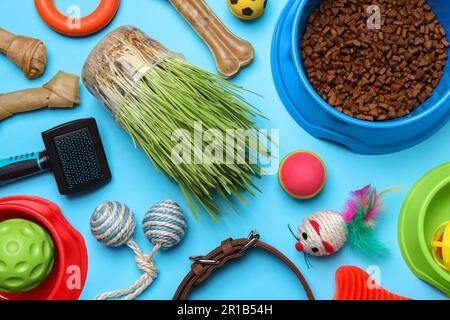 Composition de pose à plat avec jouets pour animaux de compagnie, nourriture et accessoires sur fond bleu clair Banque D'Images