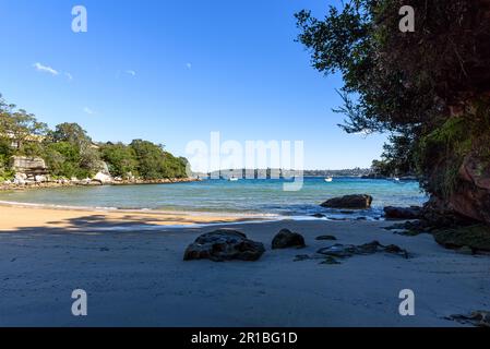 Rochers sur le sable de Collins Beach à Manly, Sydney, donnant sur le port nord Banque D'Images