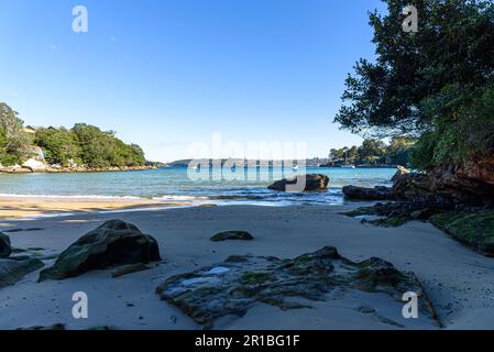 Rochers sur le sable de Collins Beach à Manly, Sydney, donnant sur le port nord Banque D'Images