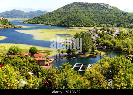Village de Karuc sur le lac Skadar, au Monténégro, le plus grand lac de la péninsule des Balkans. Parc national Banque D'Images