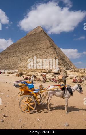 Chariot tiré par des chevaux stationné devant la pyramide de Khafre au Caire, en Égypte Banque D'Images