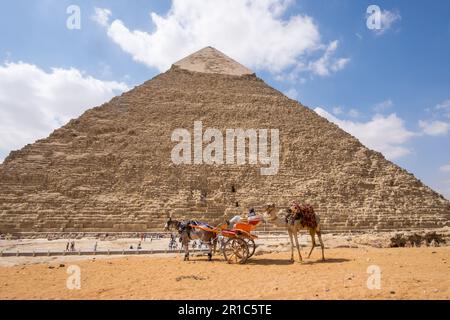 Calèche et chameau près de la pyramide de Khafre au Caire, en Égypte Banque D'Images