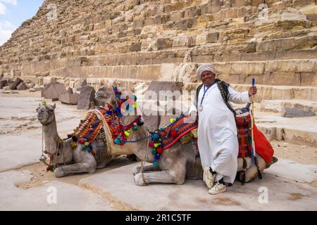 Homme posant à côté de ses chameaux aux pyramides de Gizeh au Caire, en Égypte Banque D'Images