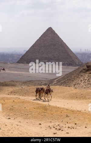 Paysages désertiques et chameaux sur l'esplanade des pyramides de Gizeh au Caire, en Égypte Banque D'Images