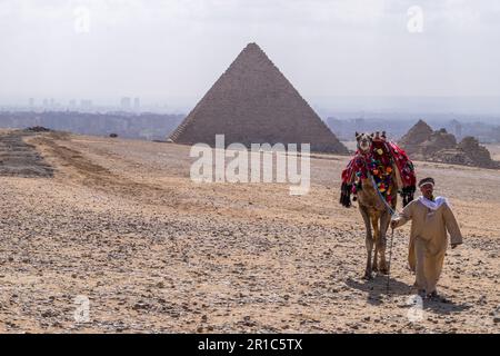 Homme marchant à côté de son chameau et vue sur les pyramides de Gizeh au Caire, Egypte Banque D'Images