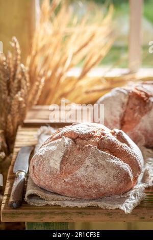 Pain savoureux et fait maison le matin dans la campagne. Deux pains rustiques. Banque D'Images