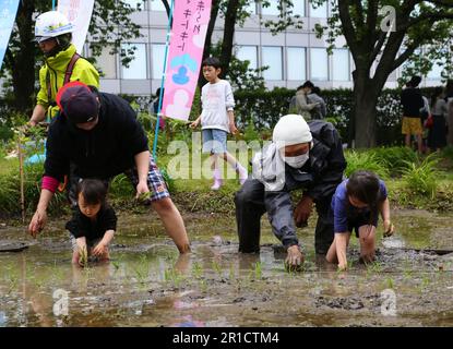 Tokyo, Japon. 13th mai 2023. Les gens essaient de planter des semis de riz dans un jardin sur le toit à Tokyo, Japon, 13 mai 2023. Avec la Tour de Tokyo en arrière-plan, le jardin sur le toit du complexe des collines de Roppongi a attiré samedi les travailleurs urbains et les résidents locaux qui essayaient de planter du riz. Environ 140 personnes, dont 60 enfants, sont entrés dans le riz boueux et ont appris à planter des semis de riz dans le jardin des hauts-dans-le-ciel qui est à environ 45 mètres au-dessus du sol. Credit: Qian Zheng/Xinhua/Alamy Live News Banque D'Images