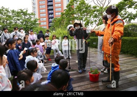 Tokyo, Japon. 13th mai 2023. Les enfants apprennent à planter des semis de riz dans un jardin sur le toit à Tokyo, au Japon, en 13 mai 2023. Avec la Tour de Tokyo en arrière-plan, le jardin sur le toit du complexe des collines de Roppongi a attiré samedi les travailleurs urbains et les résidents locaux qui essayaient de planter du riz. Environ 140 personnes, dont 60 enfants, sont entrés dans le riz boueux et ont appris à planter des semis de riz dans le jardin des hauts-dans-le-ciel qui est à environ 45 mètres au-dessus du sol. Credit: Qian Zheng/Xinhua/Alamy Live News Banque D'Images