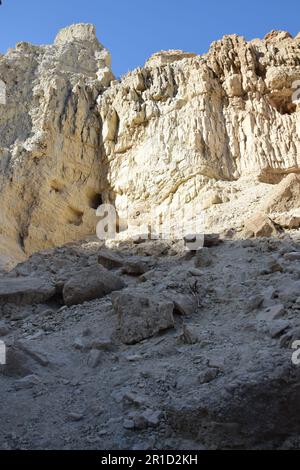 Le sentier humide dans la réserve naturelle d'Ein Gedi, région de la mer Morte en Israël Banque D'Images