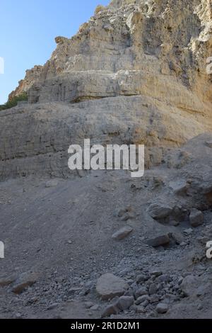 Le sentier humide dans la réserve naturelle d'Ein Gedi, région de la mer Morte en Israël Banque D'Images