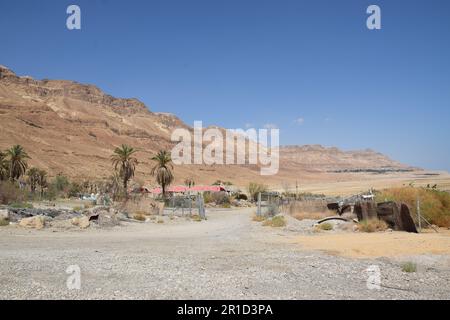 Littoral en retrait et gouffres dangereux - Ein Gedi Beach, Mer Morte en Israël Banque D'Images