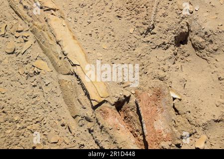 Littoral en retrait et gouffres dangereux - Ein Gedi Beach, Mer Morte en Israël Banque D'Images