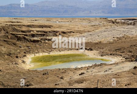 Littoral en retrait et gouffres dangereux - Ein Gedi Beach, Mer Morte en Israël Banque D'Images