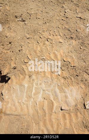 Littoral en retrait et gouffres dangereux - Ein Gedi Beach, Mer Morte en Israël Banque D'Images
