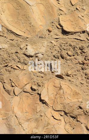 Littoral en retrait et gouffres dangereux - Ein Gedi Beach, Mer Morte en Israël Banque D'Images