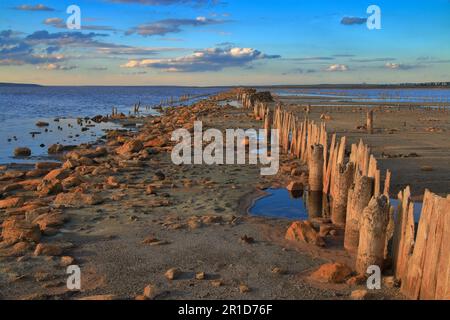 La photo a été prise en Ukraine près de l'estuaire appelé Kuyalnik. La photo montre les restes d'une jetée en bois sur un estuaire salé en cours de séchage dans les rayons Banque D'Images