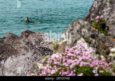 Dunworley Beach, West Cork, Irlande. 13th mai 2023. Les touristes et les habitants de la région ont visité Dunworley Beach aujourd'hui pour profiter au maximum du soleil. Met Éireann a prévu des températures de 20C dans les prochains jours avec un environnement de pluie la semaine prochaine. Crédit : AG News/Alay Live News Banque D'Images