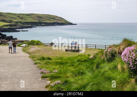 Dunworley Beach, West Cork, Irlande. 13th mai 2023. Les touristes et les habitants de la région ont visité Dunworley Beach aujourd'hui pour profiter au maximum du soleil. Met Éireann a prévu des températures de 20C dans les prochains jours avec un environnement de pluie la semaine prochaine. Crédit : AG News/Alay Live News Banque D'Images