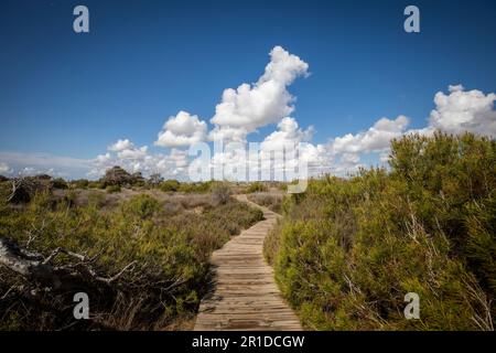 Vue panoramique sur un paysage aride du Salinas del Parque Regional de las Salinas de San Pedro, Murcia, Espagne avec passerelle en bois Banque D'Images