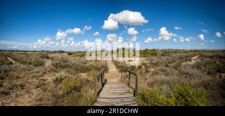 Vue panoramique sur un paysage aride du Salinas del Parque Regional de las Salinas de San Pedro, Murcia, Espagne avec passerelle en bois Banque D'Images