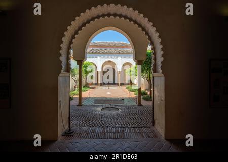 Patio de los Naranjos (cour de l'arbre orange) à Nasrid et Palais Taifa à la forteresse Alcazaba - Malaga, Andalousie, Espagne Banque D'Images