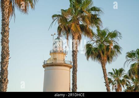 Phare de Malaga (la Farola) et palmiers - Malaga, Andalousie, Espagne Banque D'Images