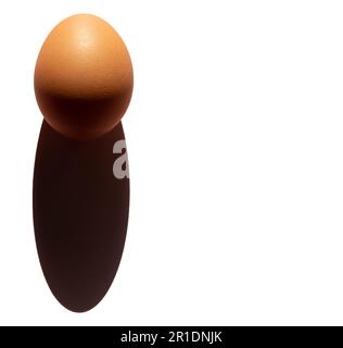 Un seul œuf brun isolé sur fond blanc avec un espace pour le texte Banque D'Images