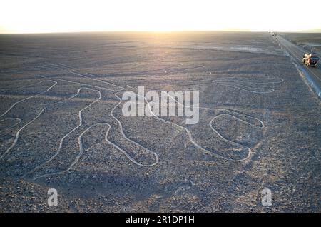 Incroyable géoglyphes antiques de lignes de Nazca appelé Arbol (arbre) dans la lumière du soleil du soir, désert de Nazca, région de l'ICA, Pérou Banque D'Images