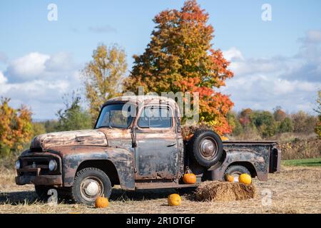 Vieux camion rouillé abandonné dans un champ de fermiers décoré pour action de grâce et automne Banque D'Images