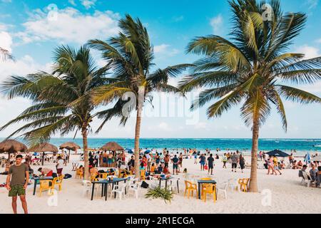 Les touristes et les algues recouvrent la plage de Tulum, au Mexique. Les proliférations d'algues Sargassum ont augmenté en raison du ruissellement des nitrates de ferme dans l'océan Banque D'Images