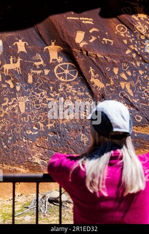 Journal d'études de tourisme féminin senior Rock Archaeological site; Parc national de Canyonlands; Utah; États-Unis Banque D'Images