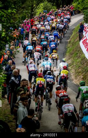 Fossombrone, Italie. 13th mai 2023. Le pack de cavaliers photographiés en action pendant la huitième étape de la course de vélo Giro d'Italia 2023, de Terni à Fossombrone (207 km), en Italie, samedi 13 mai 2023. Le Giro 2023 a lieu du 06 au 28 mai 2023. BELGA PHOTO JASPER JACOBS crédit: Belga News Agency/Alay Live News Banque D'Images