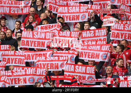 Munich, Allemagne. 13th mai 2023. Fan chorégraphie, bannières, enseignes bannières: MIR SAN DIE BAYERN. Fans, fans de football, fan block, football 1st Bundesliga saison 2022/2023, 32nd match day, matchday32, FC Bayern Munich - FC Schalke 04 6-0 on 13 mai 2023, ALLIANZAREN A. ? Credit: dpa/Alay Live News Banque D'Images