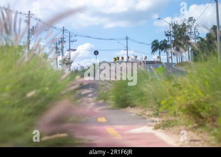 Campinas-sp,Brésil,mai 12,2023 piste cyclable entourée de végétation par une journée ensoleillée, concept de cyclisme, nature urbaine. Banque D'Images