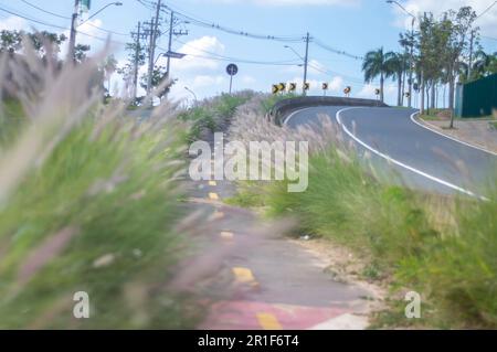 Campinas-sp,Brésil,mai 12,2023 piste cyclable entourée de végétation par une journée ensoleillée, concept de cyclisme, nature urbaine. Banque D'Images
