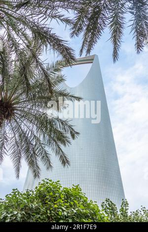 Bâtiments modernes dans le quartier d'Al Olaya avec des palmiers en premier plan, Al Riyadh, Arabie Saoudite Banque D'Images