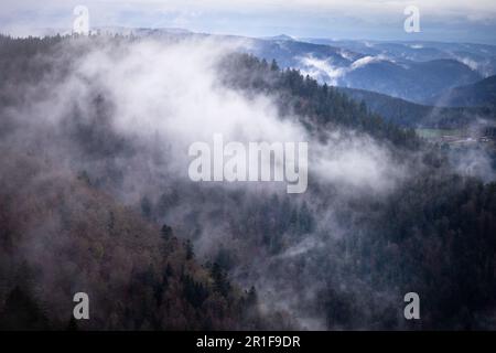 Un ciel sombre et nuageux avec une rangée d'arbres silhouettés et une brume brumeuse qui se baladent Banque D'Images