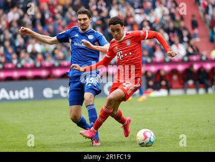 Munich, Allemagne. 13th mai 2023. Jamal Musiala (R) du Bayern Munich vies avec Marcin Kaminski de Schalke 04 pendant le match de football allemand de la première division Bundesliga à Munich, Allemagne, 13 mai 2023. Credit: Philippe Ruiz/Xinhua/Alay Live News Banque D'Images