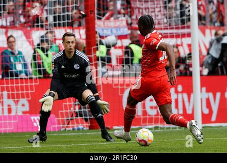 Munich, Allemagne. 13th mai 2023. Mathys tel (R) du Bayern Munich tire pour marquer lors du match de football allemand de la première division Bundesliga entre le Bayern Munich et le FC Schalke 04 à Munich, Allemagne, 13 mai 2023. Credit: Philippe Ruiz/Xinhua/Alay Live News Banque D'Images