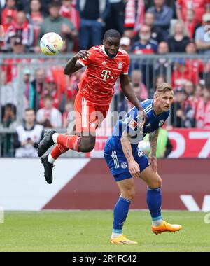 Munich, Allemagne. 13th mai 2023. Dayot Upamecano (L) du Bayern Munich vie avec Sebastian Polter de Schalke 04 lors du match de football allemand de la première division Bundesliga à Munich, Allemagne, 13 mai 2023. Credit: Philippe Ruiz/Xinhua/Alay Live News Banque D'Images