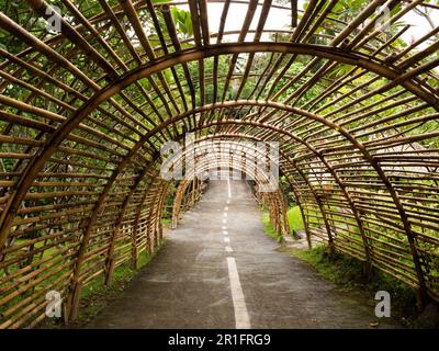 Magnifique tunnel en bambou Banque D'Images